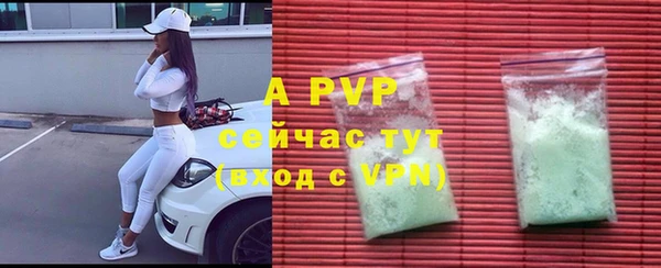 PSILOCYBIN Волоколамск