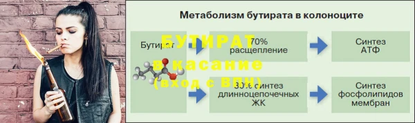 стаф Бородино