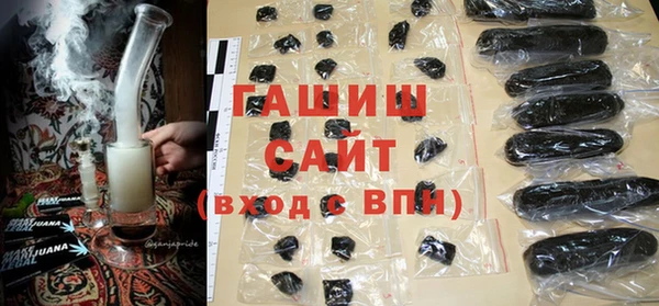 стаф Бородино