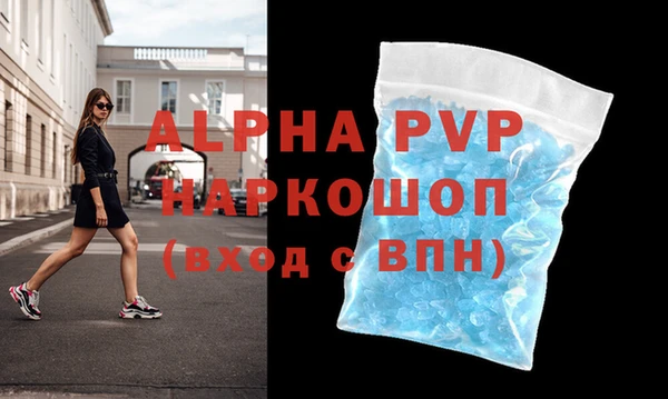 стаф Бородино