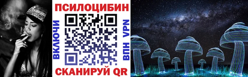 хочу   Зуевка  Галлюциногенные грибы Psilocybine cubensis 